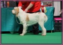 09-03-12 M GoodAsGold_IMG_9664